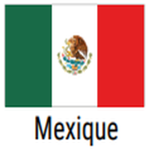 Mexique-drapeau-300x300.png